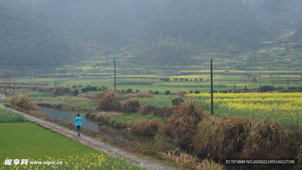 婺源乡村田野间的独行者