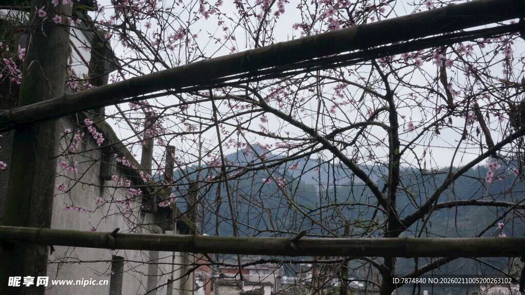 婺源透过树枝看远处景致