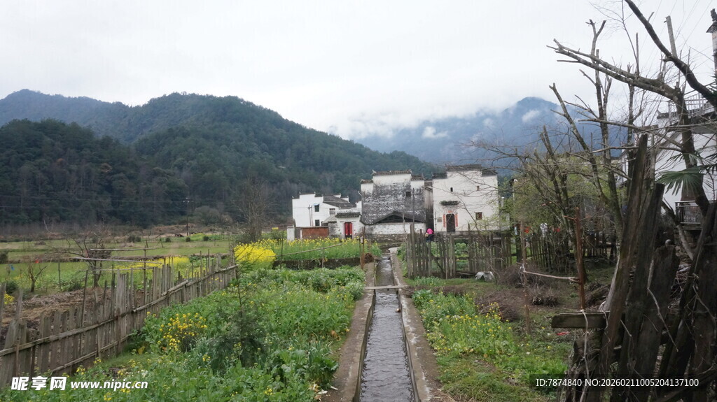 婺源乡村田园风光小路景色