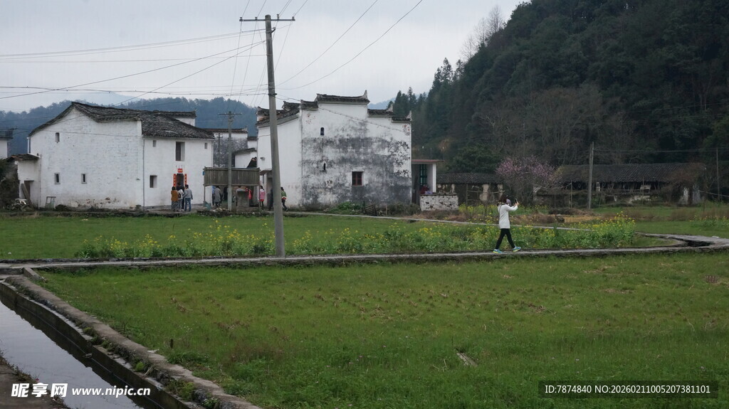 婺源乡村田园风光景色