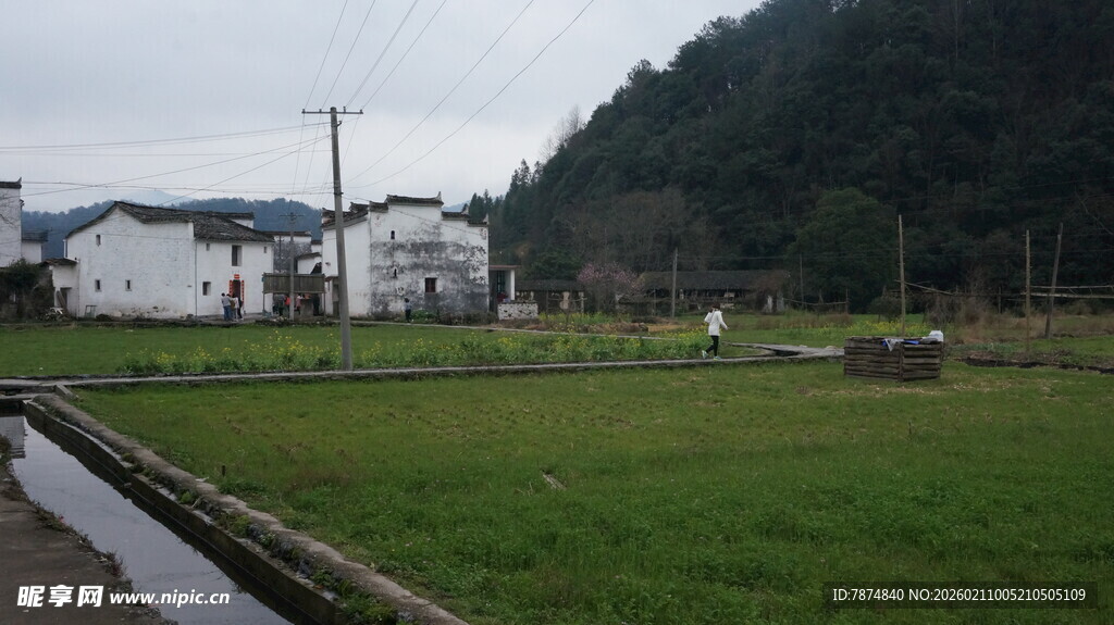 婺源乡村田园风光美景