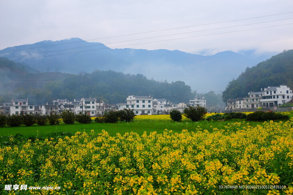 婺源春日田园美景 菜花映远山