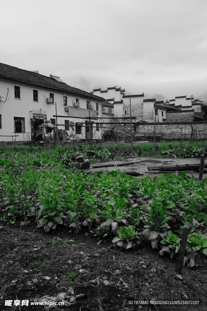 婺源乡村田园风光 农舍与菜地