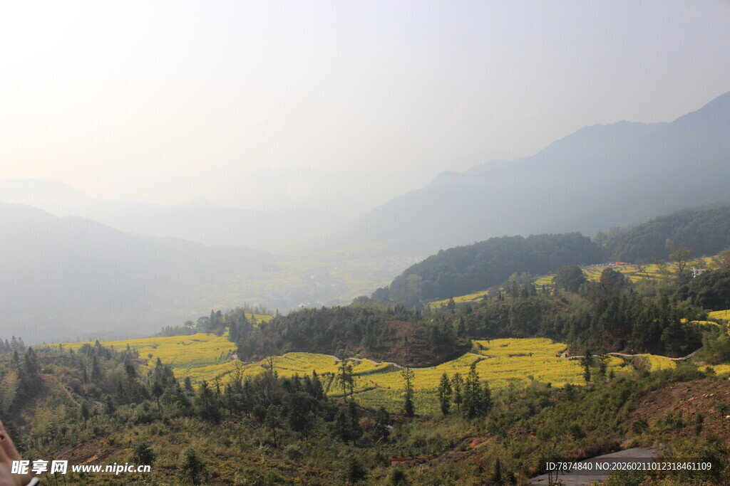 婺源山间油菜花海美景