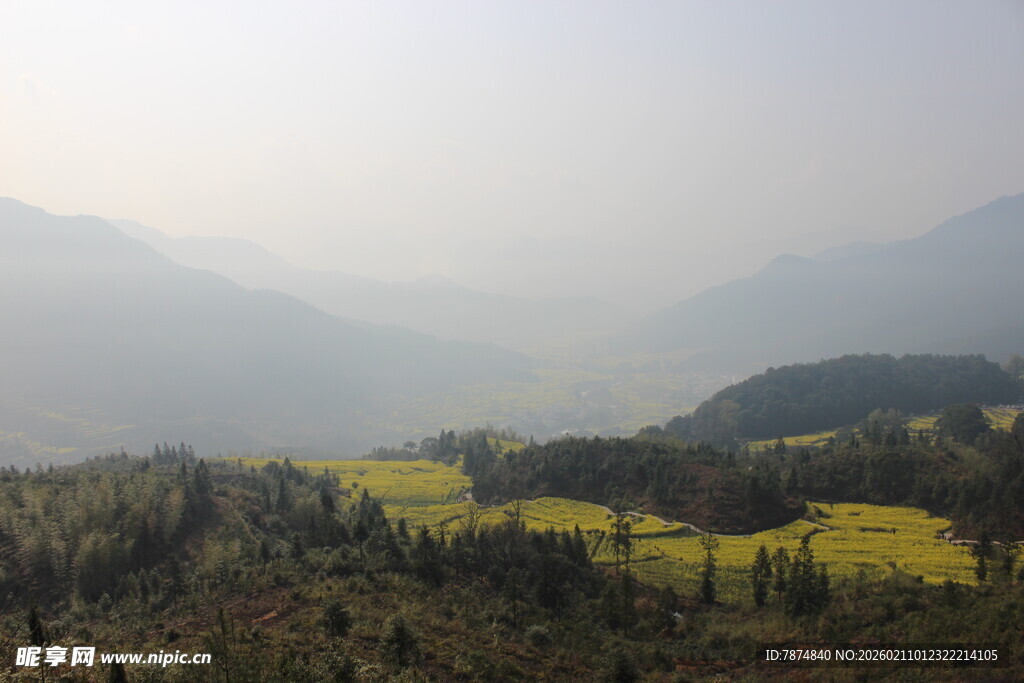 婺源山间油菜田 自然美景