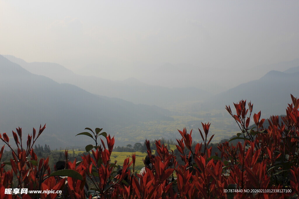 婺源山间红植映远黛
