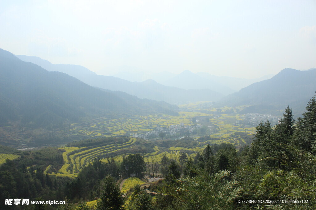 婺源山间绿野风光