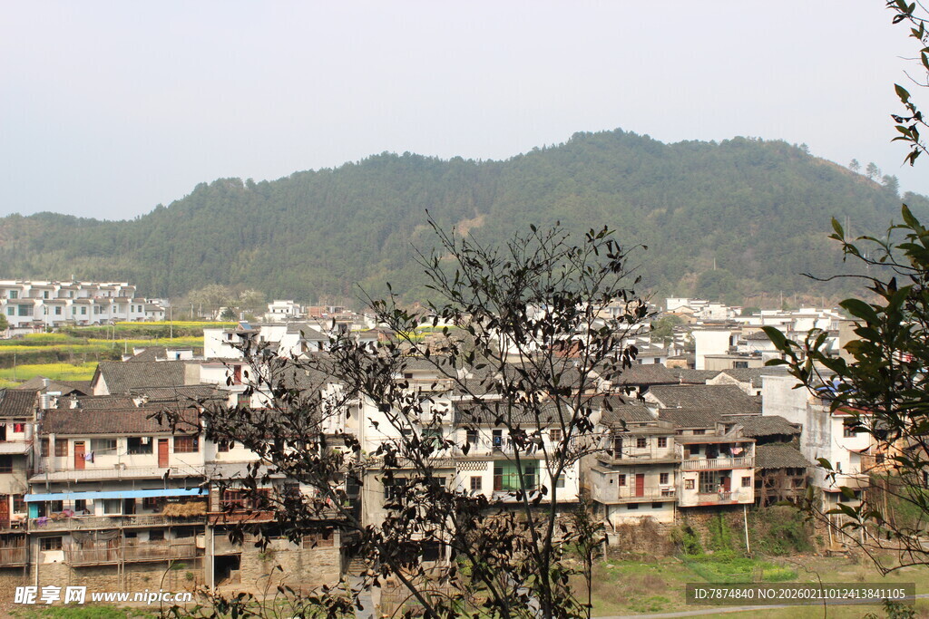 婺源徽派村落风光