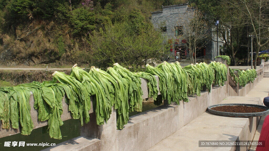 婺源户外晾晒的绿色长条蔬菜