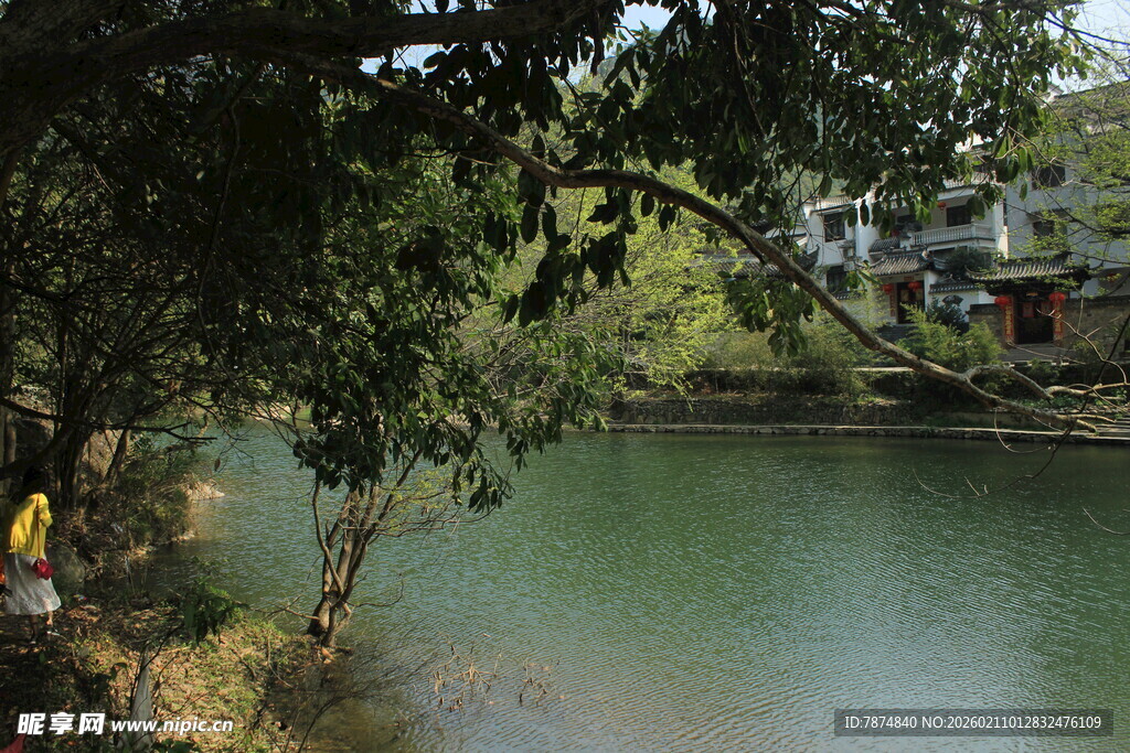 婺源湖畔绿树环绕的宁静风光