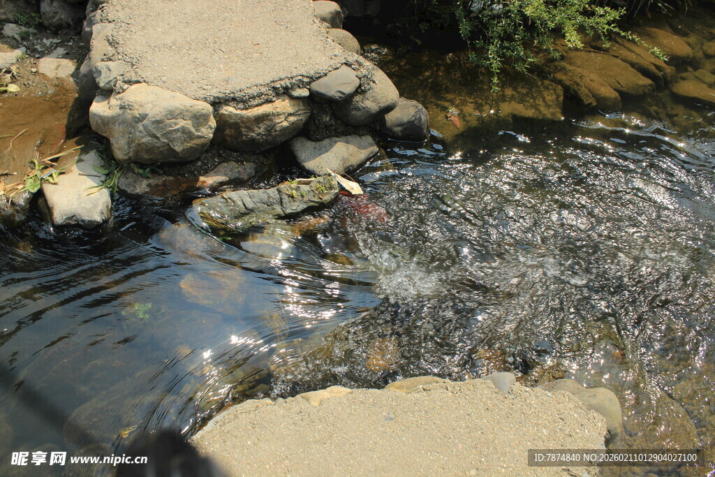 婺源山间溪流潺潺的自然景象