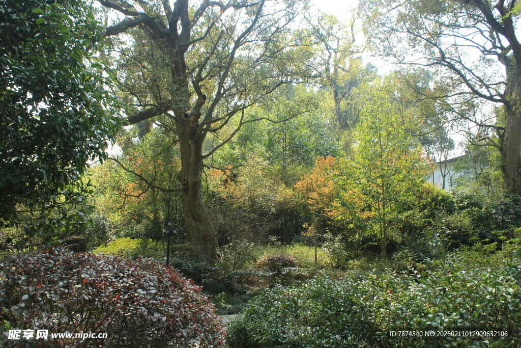 婺源秋日林间小道的静谧景致