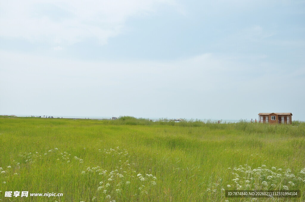 草原上的小屋与广袤绿野