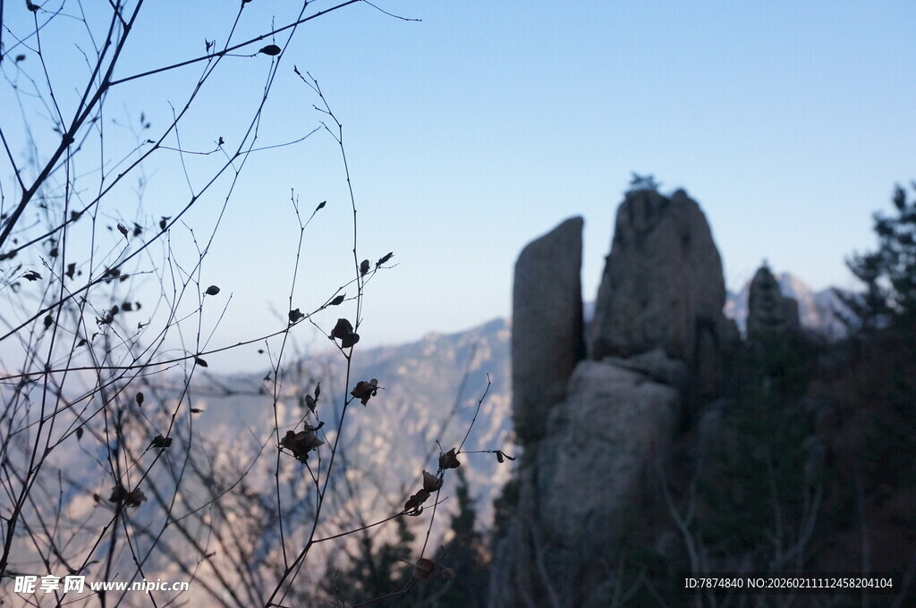 山间奇石与萧瑟树枝景观