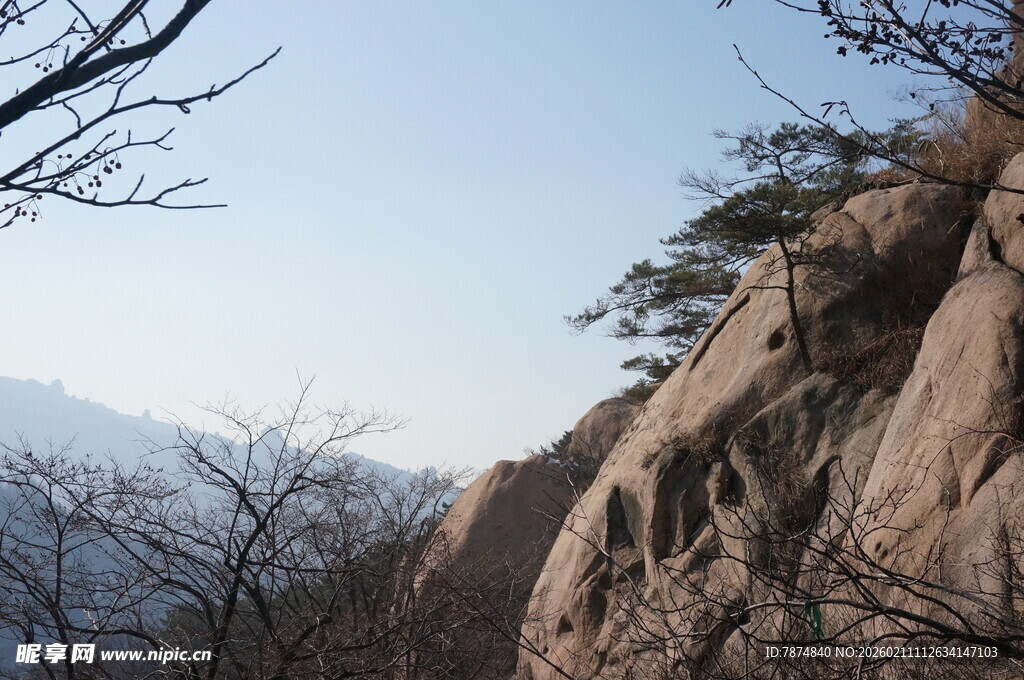 陡峭山壁与光秃树枝