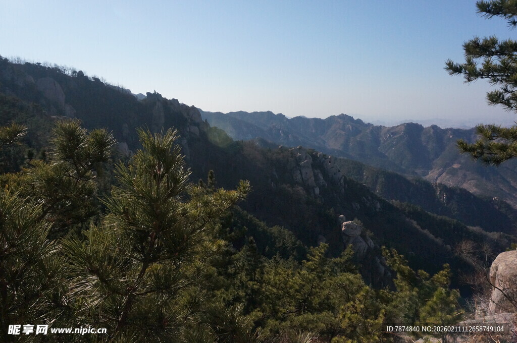 山间松林景色