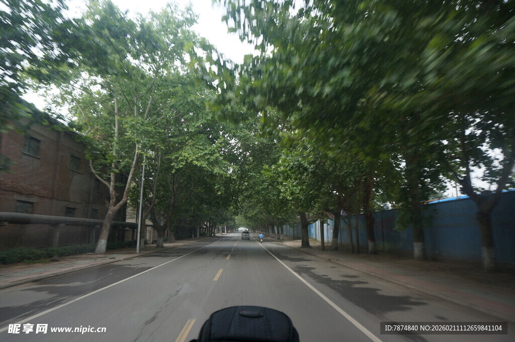 行驶在绿树成荫的道路上