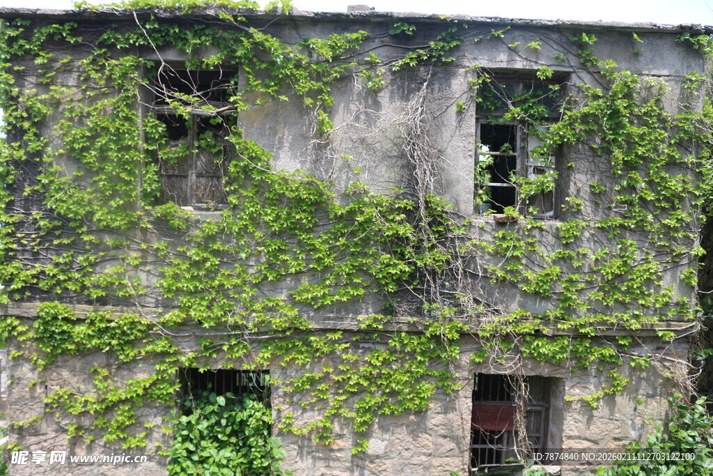爬满藤蔓的古老废弃建筑