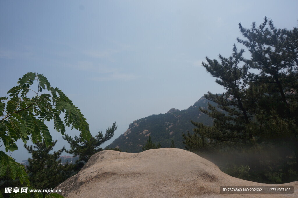 山间岩石旁的葱郁树木