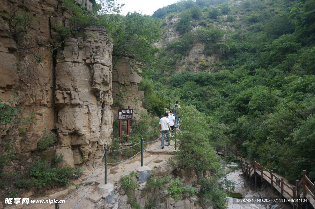 山间栈道穿行于绿树峭壁间