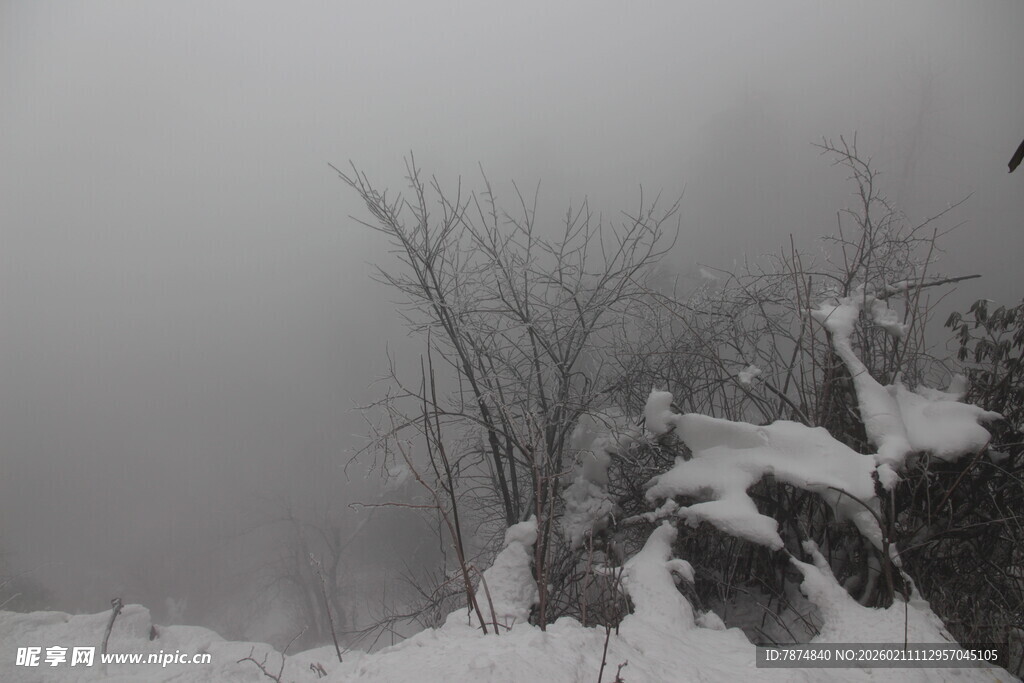 雪覆山峦 雾中枯树景致