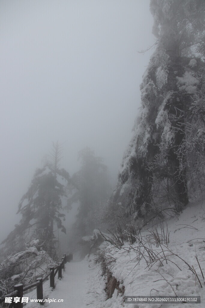 雪雾中的山林步道