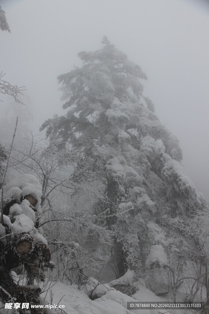 雪覆山林景观