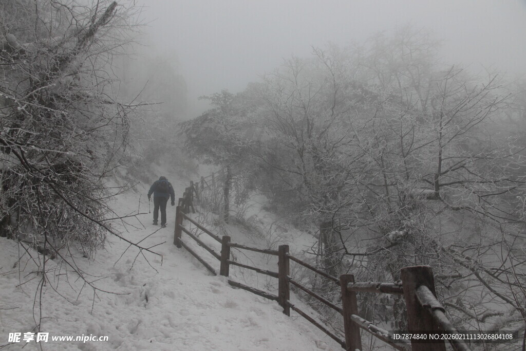 雪雾中漫步的林间小道