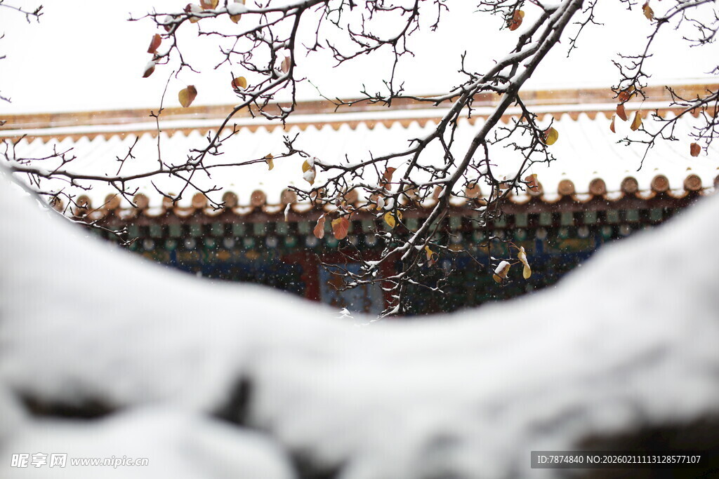 雪覆古建枝头景