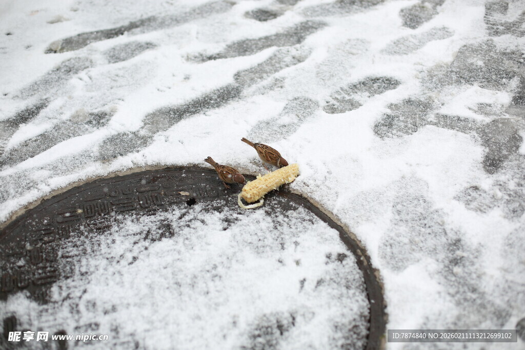 雪地中碗边的残损香蕉皮