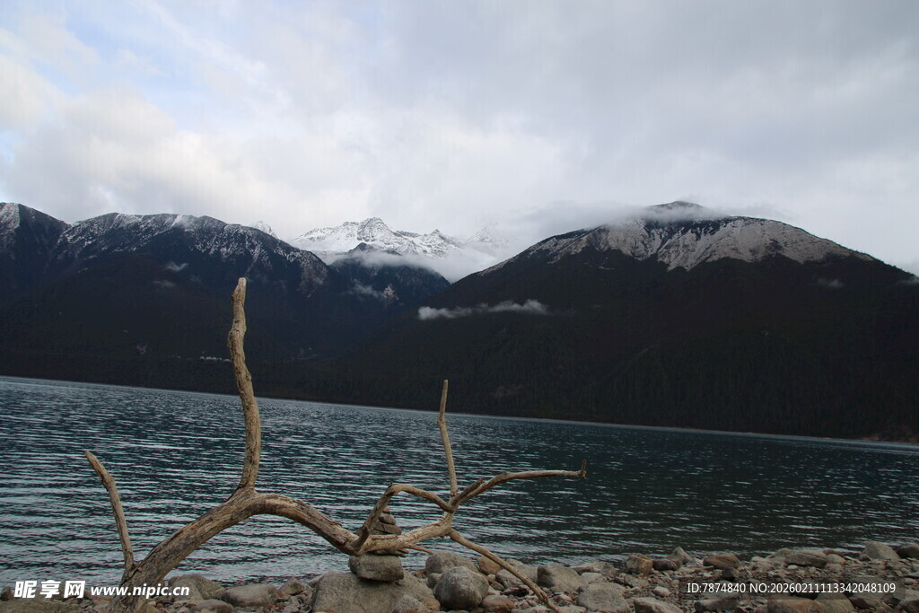 湖畔枯木与远山云雾美景