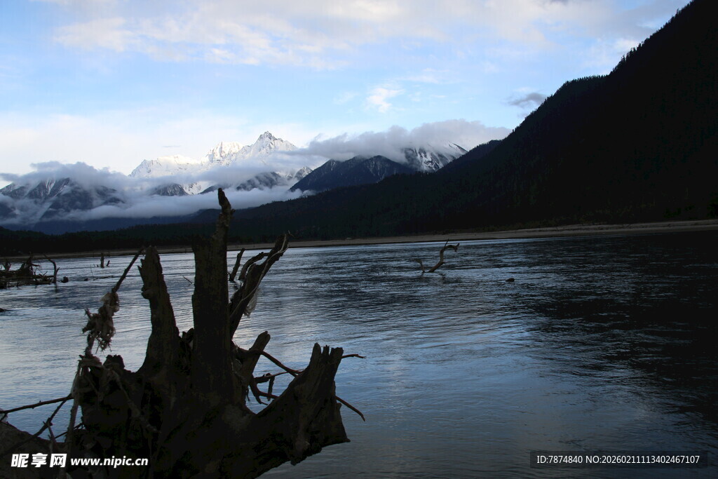 湖畔枯木与远山美景
