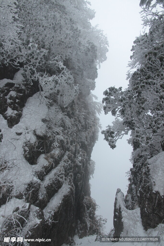 雪覆山林美景