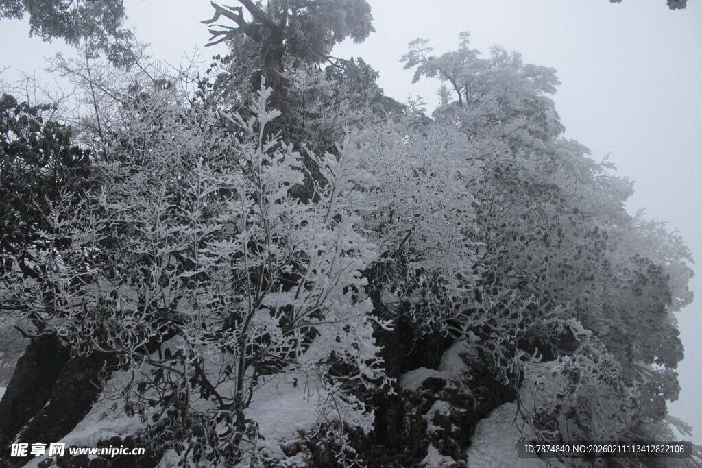 雪覆山林美景