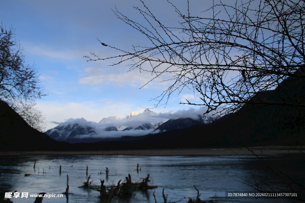 湖畔枯树与远山风景