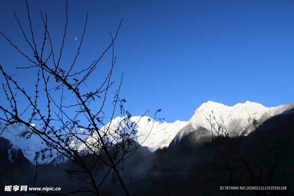 雪山远景 枯树枝相伴