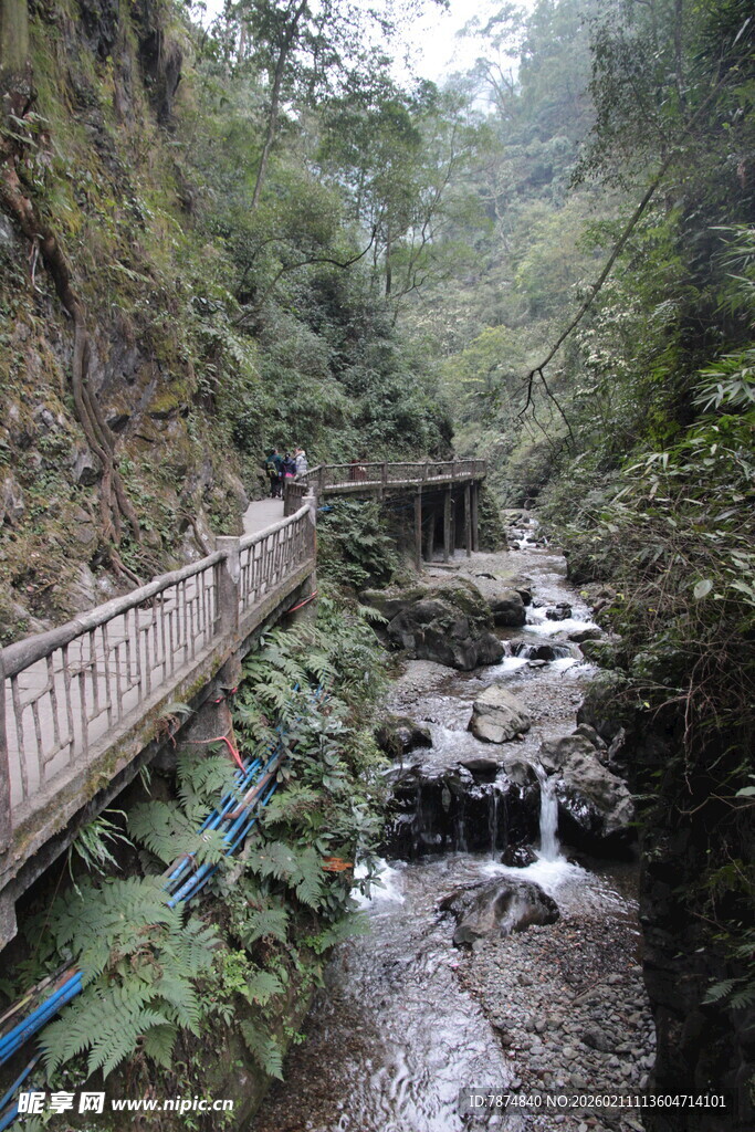 山间栈道伴溪流美景