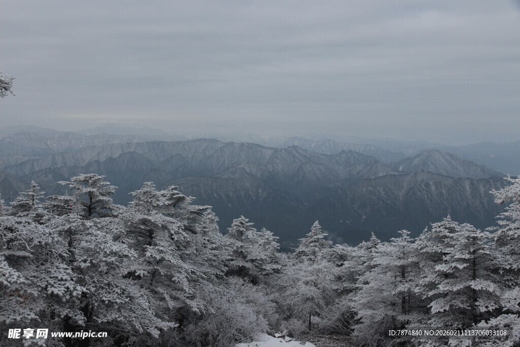 雪覆山林的静谧冬日景象