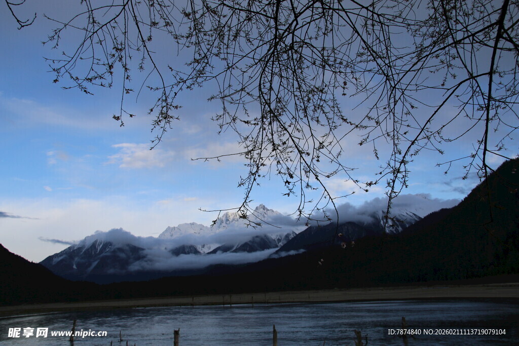 湖畔雪山美景 柳枝低垂