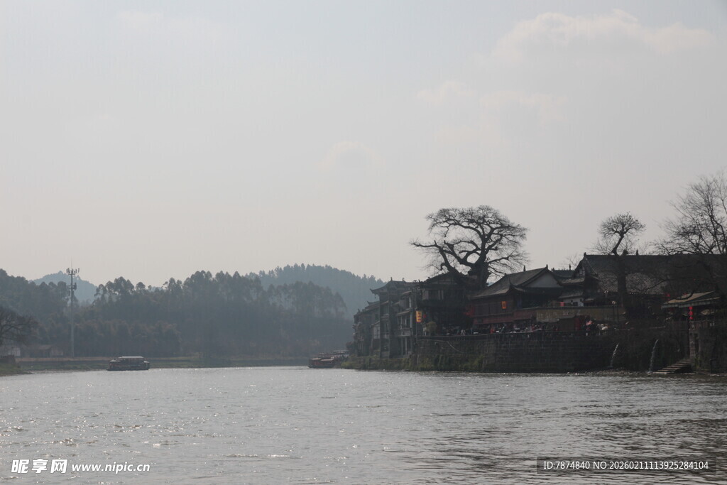 河畔孤树 宁静山水景致
