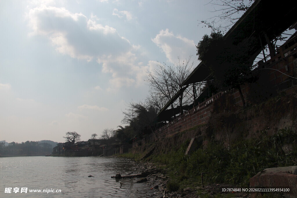 河岸风景 植被与河水相依