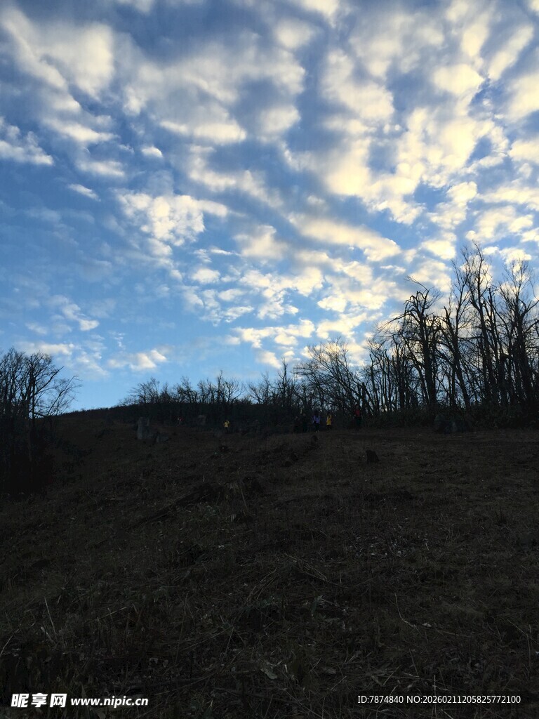 黄昏下的草地与天际云彩
