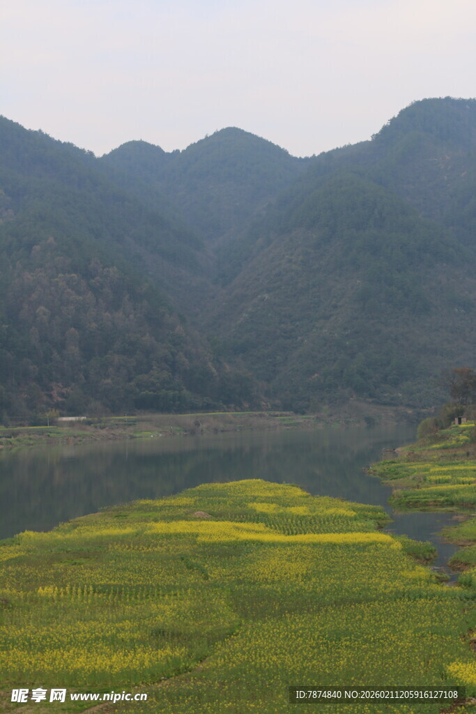 山间油菜田的美丽景致