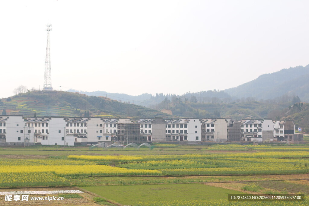 乡村田野旁的白色建筑群