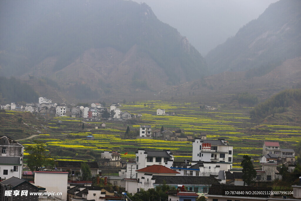 山间村落油菜花美景