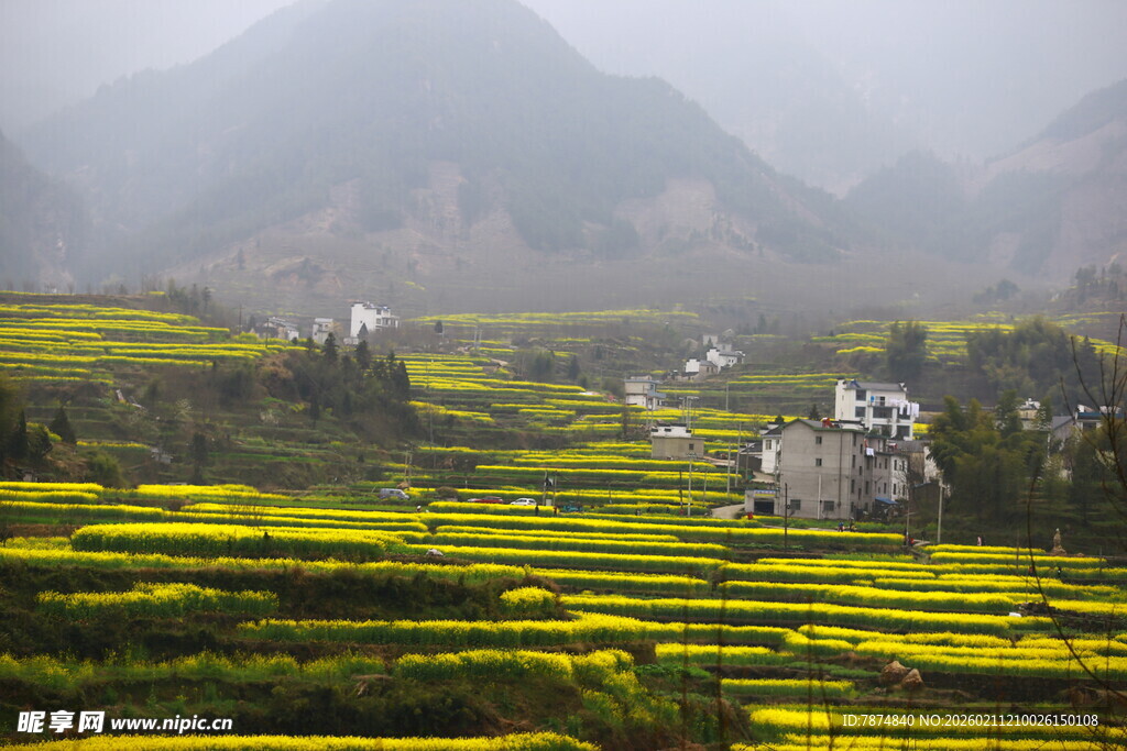 雾中梯田与村落美景