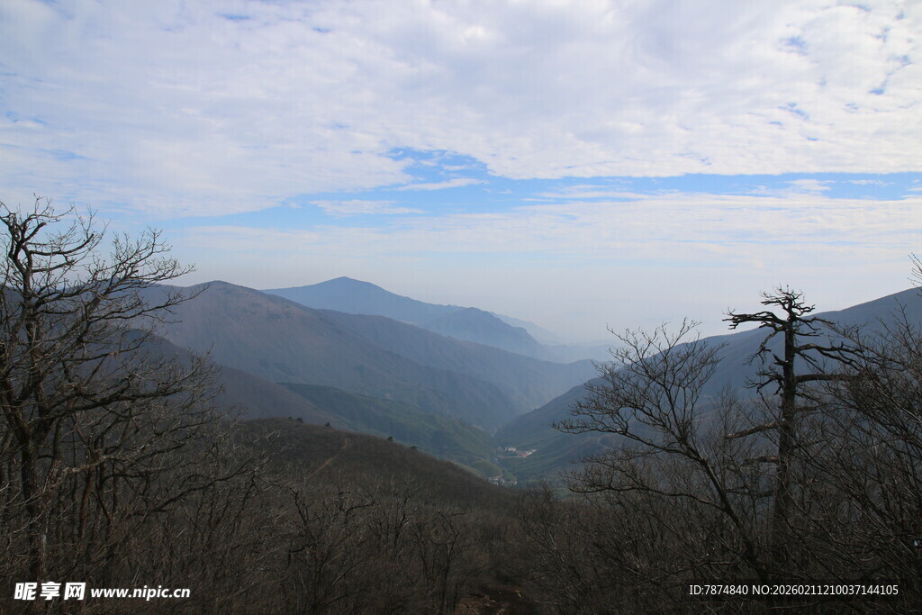 山景远眺 枯树点缀天际
