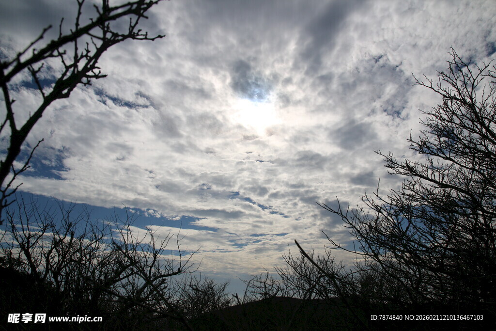 林间天空 阳光穿透云层