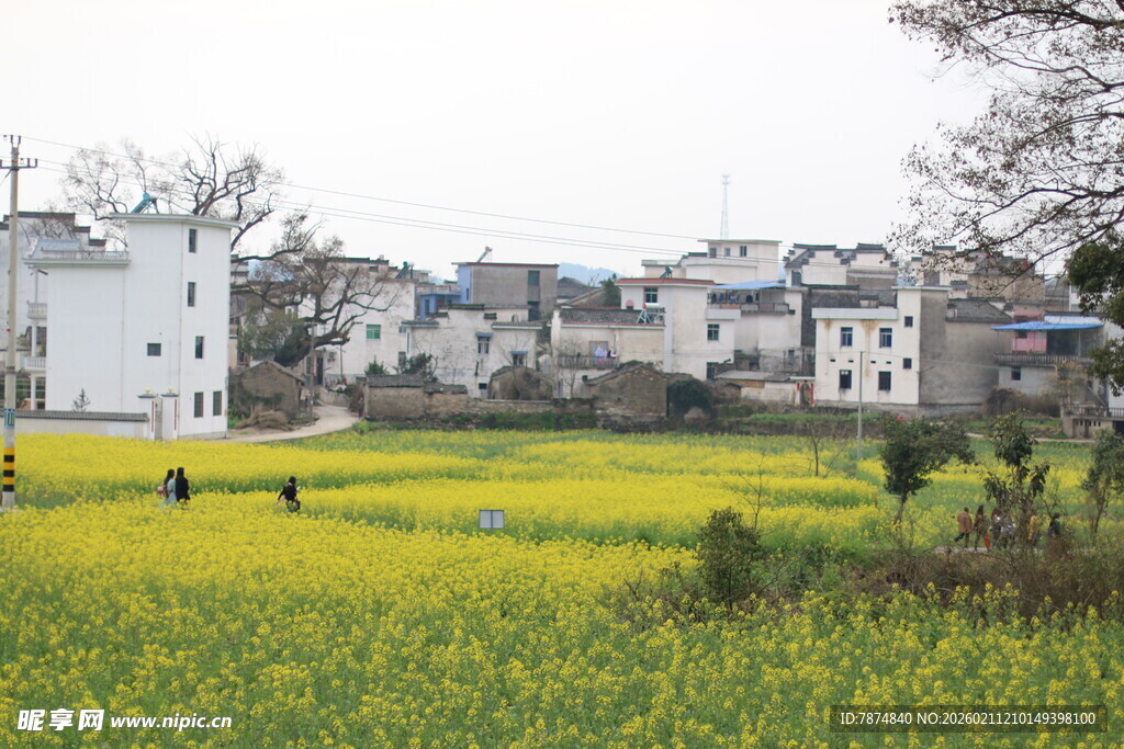 春日乡村田野风光美景