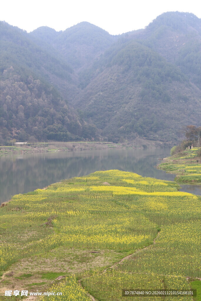 山间油菜田与湖景风光